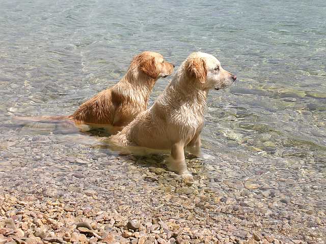 Maia Lotte - Kroatien