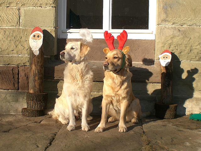 Maia, Lotte - Weihnachten