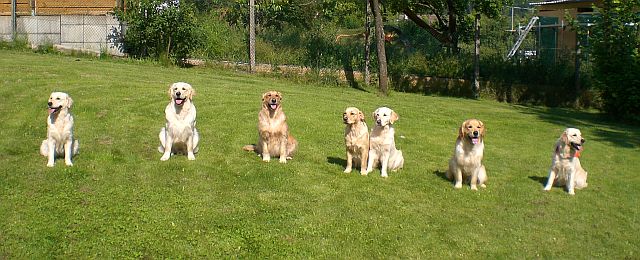 Trimmseminar - Trichtingen