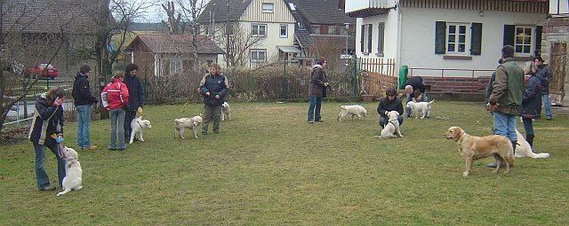 B-Wurf - Trichtingen