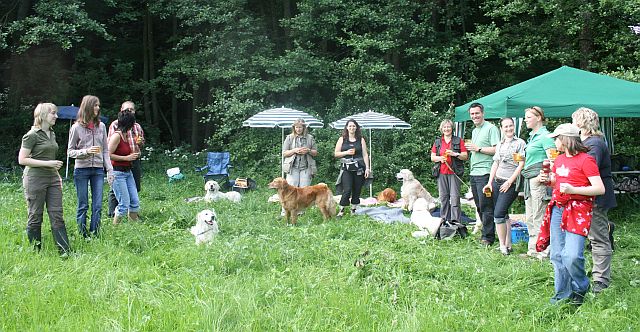 Dummyseminar - Trichtingen