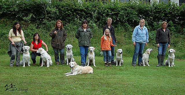 Pfostenschau - Backnang