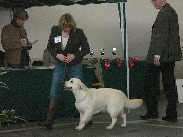 Paris - Ausstellung Herrenberg