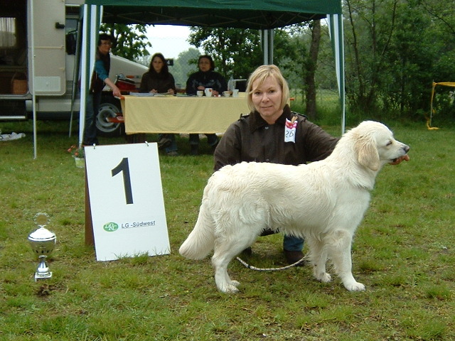 Chelsee - Pfostenschau Waltershofen