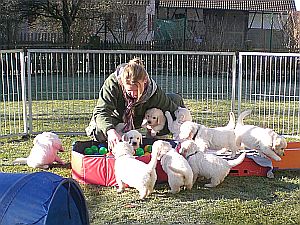 Nicole mit Welpen